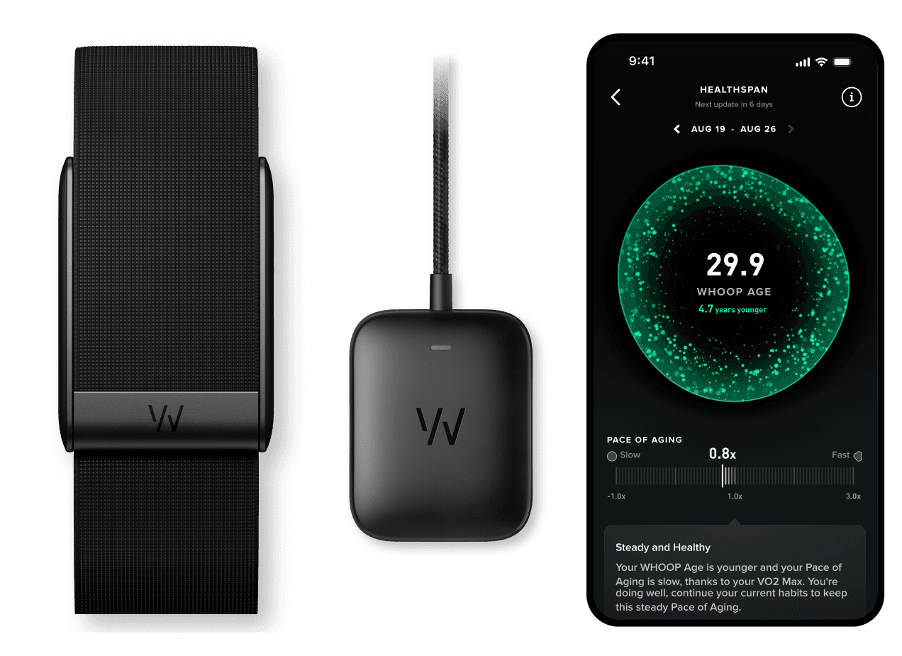 WHOOP 5.0 vs WHOOP 4.0: vyplatí se upgrade v roce 2026?
